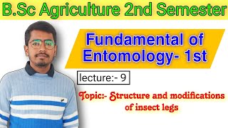 Insects leg its modifications  Types of insects leg  Fundamental of Entomology  BSc Agriculture [upl. by Ormond]