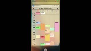 Best iOS Week Calendar Widget App [upl. by Ykcub]