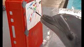 Amazing Dolphin Painting  MUST SEE [upl. by Ocko970]