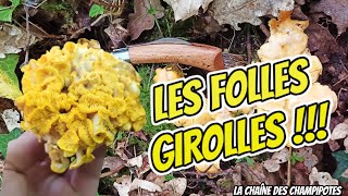 Les folles girolles de Bobby Lafritte  La girolle fleur [upl. by Notgnillew684]