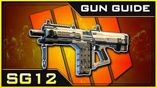 SG12 Stats amp Best Class Setups  Black Ops 4 Gun Guide 30 [upl. by Gerdeen]