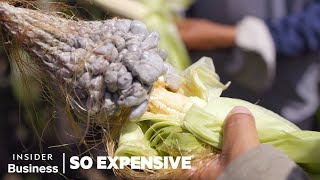 Why Huitlacoche Corn Smut is So Expensive  So Expensive [upl. by Wennerholn155]