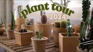 NEW Houseplant Tour 2024 Over 70 plants from rare to common  my prized cacti collection 🌵 [upl. by Ecirtra602]