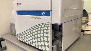 CytoFlex SN12C tagGFP2 clone [upl. by Elconin395]