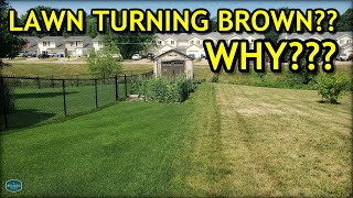 Heres WHY Your Lawn Might Be Turning BROWN [upl. by Arehahs]