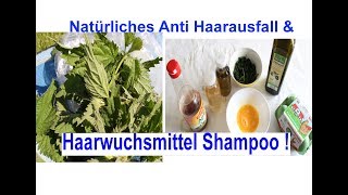 Wundermittel Shampoo gegen Haarausfall   Miracle Shampoo for Hair loss [upl. by Urial18]