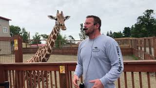 April the Giraffe Best Jordan Patch talk Tajiri Steals the Show [upl. by Airdnal327]