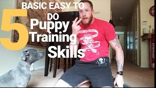 Training a blue nose pitbull puppy for first time Dog owners [upl. by Brocky271]