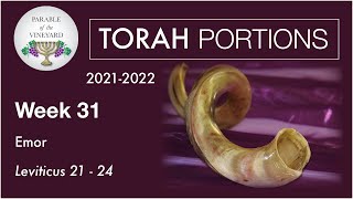 Torah Portions  Week 31  Emor  Leviticus 2124 20212022 [upl. by Nahsrad]