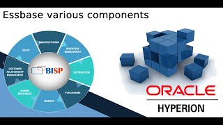 Essbase various components  Oracle EPM Consulting  Oracle EPM Cloud [upl. by Tutankhamen]