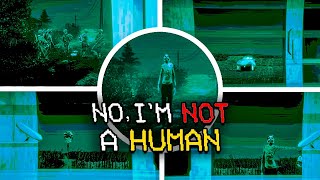 No Im Not a Human  ALL WINDOWS VIEWS AT NIGHTS Showcase [upl. by Rramaj452]