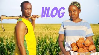 VLOG Tujyane guhinga couple viral [upl. by Atteynek]