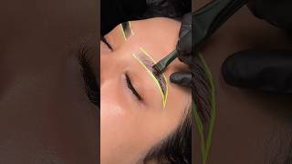 Brow lamination wax amp stain 💖✨ browwaxing browlaminationtutorial browlamination [upl. by Kennith]