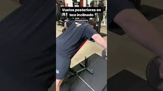 Vuelos posteriores en bco inclinado  Incline posterior raises [upl. by Tlaw]