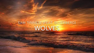 Sam Tinnesz feat Silverberg  Wolves  Lyrics [upl. by Ainud256]