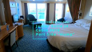 4k Mariner of the Seas Oceanview Room Full Tour free upgrade [upl. by Shaddock249]