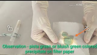 Fouchets test  for detection of bile pigments in urine [upl. by Nomrac]