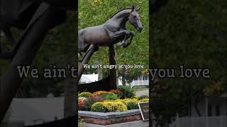 hickstead the greatest horse that ever lived [upl. by Neros]