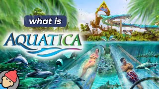 Aquatica Orlando Overview [upl. by Katya]