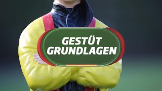 Gestüt Grundlagen Intro [upl. by Ahcorb]