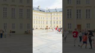 ‘12 Places to see in Prague’ prague travel tourism ytviral ytshorts shorts shortvideo places [upl. by Nylhtac646]