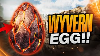 The BEST way to get wyvern eggs  Ark Survival Ascended [upl. by Boleslaw]