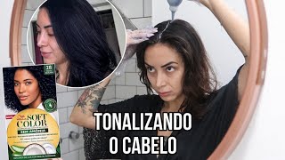 TONALIZANDO O CABELO COM SOFT COLOR PRETO AZULADO DA WELLA [upl. by Base]