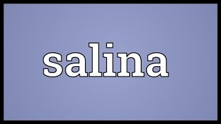 Salina Meaning [upl. by Otrebogad344]