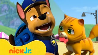 The Best Sneezy Chase Moments in PAW Patrol 🤧 10 Minutes  Nick Jr [upl. by Orlov]