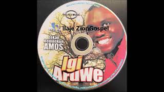 Evang Lekan Remilekun Amos Igi Aruwe Ilaje Gospel [upl. by Tenahs]