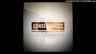 ConsequencesLaku Mic ft Tonton Malele WM Reggae Remix [upl. by Leander662]