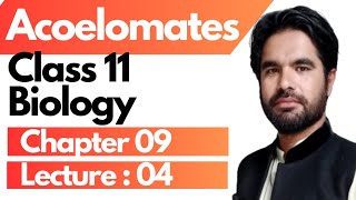 Acoelomates  Class 11 biology chapter 9  Lecture 04 in pashto [upl. by Allicerp]