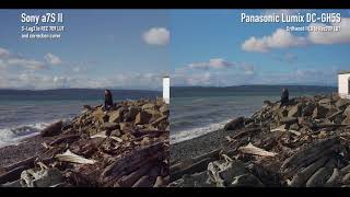 Panasonic Lumix DCGH5S vs Sony a7S II Log footage comparison [upl. by Baugh]