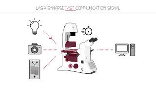 Live Cell Imaging DMi8 S powered by Synapse [upl. by Allissa82]