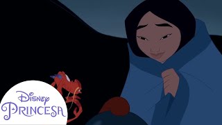 Lecciones Importantes que las Princesas nos Enseñaron  Disney Princesa [upl. by Iborian]