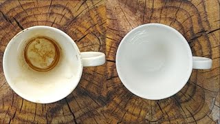 Remove Brown Stains out of Ccffee Cups shorts Remove Coffee and Tea Stains from Cups Easy Method [upl. by Anitsenre]