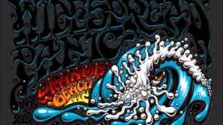 Widespread Panic  Sympathy For the Devil Live [upl. by Trueblood]