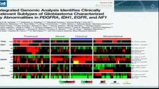 Functionalizing the Cancer Genome  Lynda Chin [upl. by Ursulette]