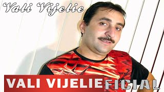 VALI VIJELIE  Te iubesc te iubesc OFICIAL AUDIO TRACK [upl. by Zulema]