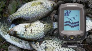 Эхолот HUMMINBIRD PiranhaMAX 180 [upl. by Hardie]