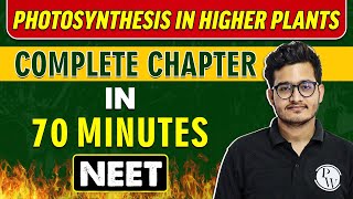 PHOTOSYNTHESIS IN HIGHER PLANTS in 70 minutes  Complete Chapter for NEET [upl. by Ahsele]