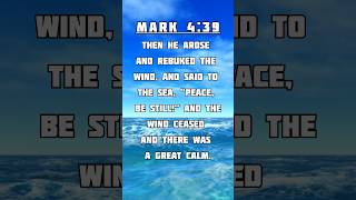 Rebuke the Storm Finding Inner Peace in Turbulent Times 🌊💪  Mark 439  Bible Verse jesus storm [upl. by Fatima]