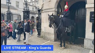 LIVE STREAM  King’s Guards [upl. by Zoha]