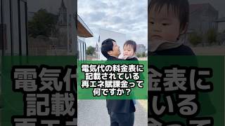 電気代の料金表に記載されている､再エネ賦課金って何ですか？西条市 工務店 家を建てる 再エネ賦課金いとまちマルシェ [upl. by Haimarej888]