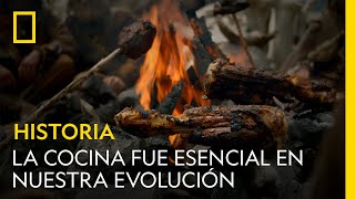 Por qué la cocina fue esencial en nuestra evolución  NATIONAL GEOGRAPHIC ESPAÑA [upl. by Atirec54]