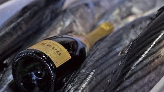 Krug x Fish una experiencia de pesca en Ensenada [upl. by Amitie]