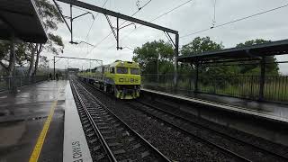 D446 return run from wyong at cockle creek QE006 005 004 on 29 2 24 [upl. by Asabi]