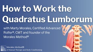 How to Work the Quadratus Lumborum [upl. by Dalli]