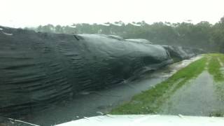 Hurricane Matthew fernery Pierson FL [upl. by Damales908]