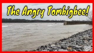 The Angry Tombigbee [upl. by Landes486]